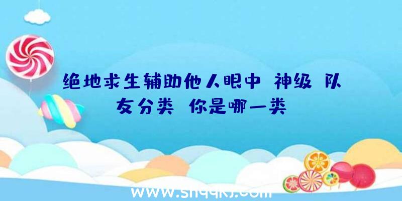 绝地求生辅助他人眼中“神级”队友分类